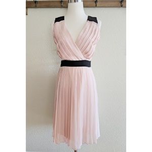 Blush and black pleated dress